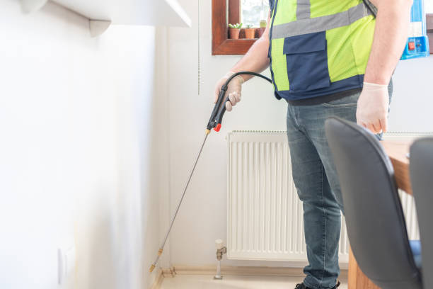 Best Local Pest Control Services  in Wewahitchka, FL