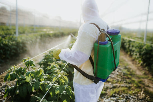 Best Commercial Pest Control Services  in Wewahitchka, FL